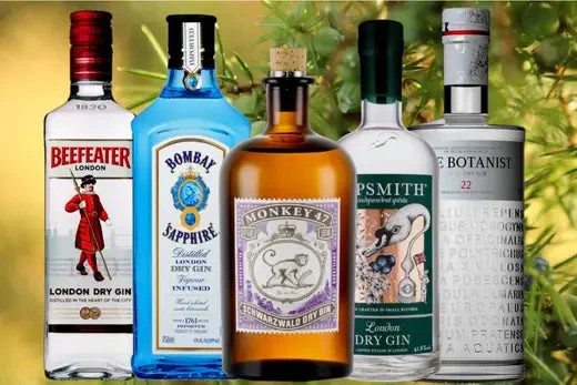 Rượu Gin - nguyên liệu tạo nên những ly cocktail tuyệt hảo 10 ruou_Gin