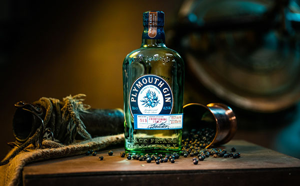 Rượu Gin - nguyên liệu tạo nên những ly cocktail tuyệt hảo 13 ruou_Gin