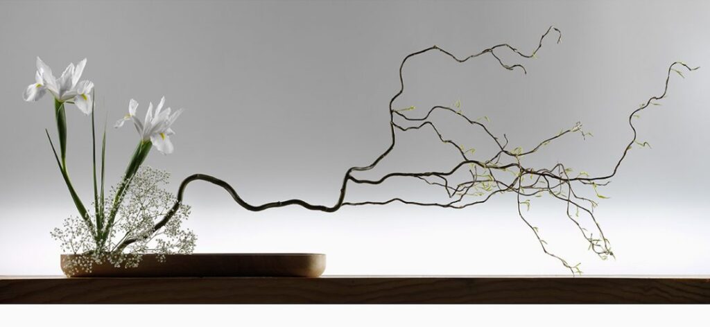 Nghệ thuật cắm hoa Ikebana Nhật Bản – Giữ cho hoa được sống