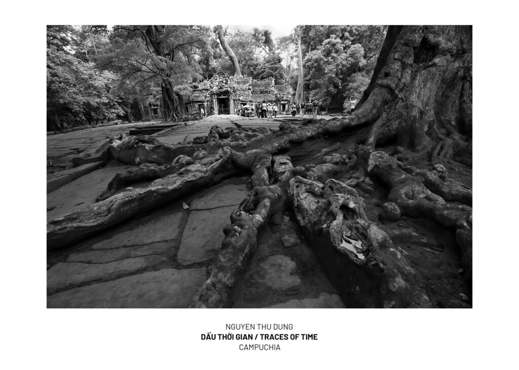 ‘The Beauty of ASEAN Nations – Viet Nam's Imprint’ Photo contest - Discover Southeast Asia