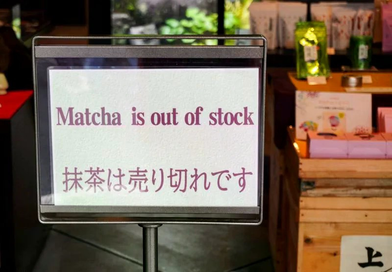 Vì sao matcha trở thành xu hướng trong lối sống hiện đại?