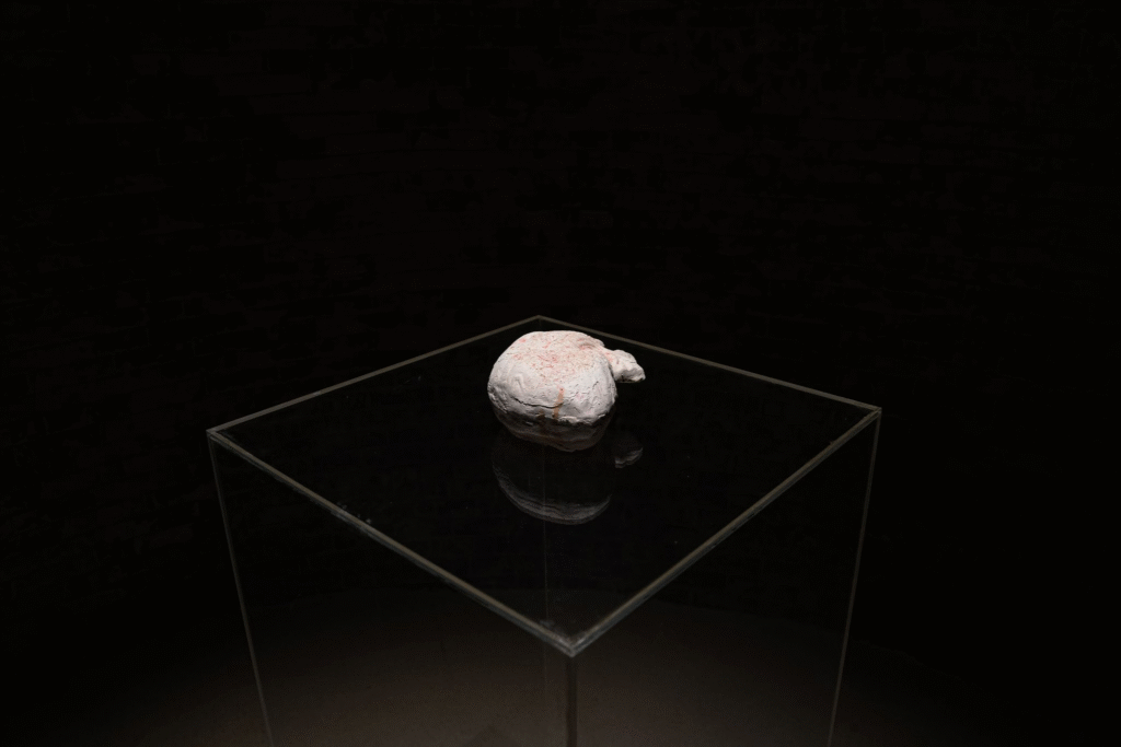 Triển lãm gợi nhắc về sự chấp nhận thương tổn như một quy luật tự nhiên