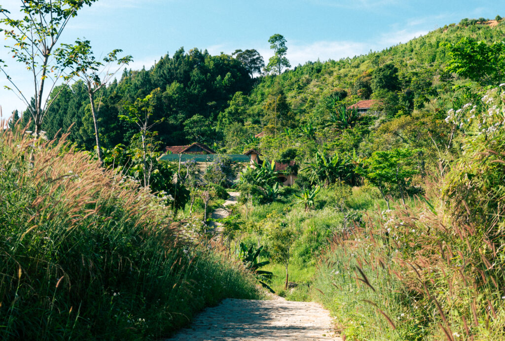 Lối đi uốn lượn quanh sườn núi.