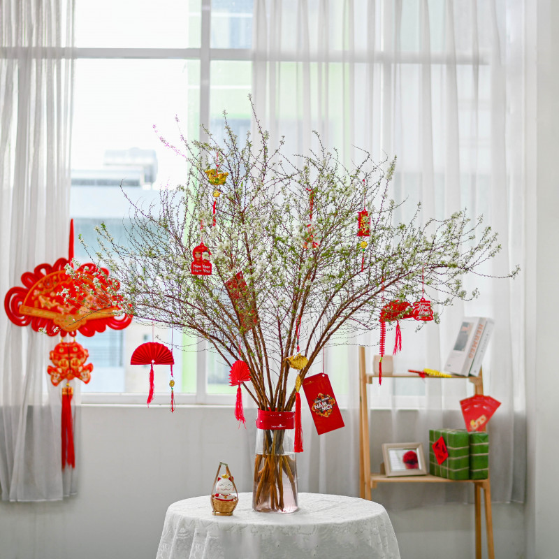 Hoa tuyết mai tôn lên vẻ sang trọng cho phòng khách. 